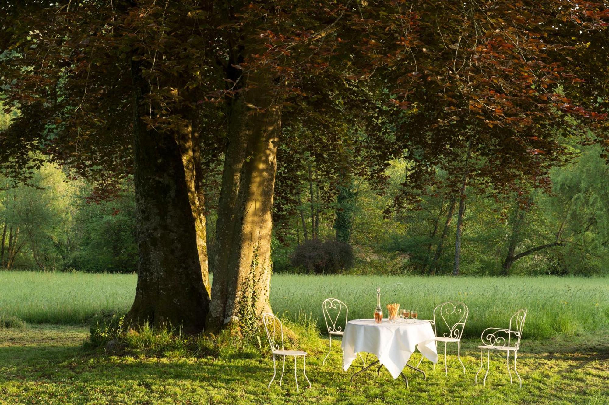 Bed and Breakfast Chateau De Martigny Colmey Exterior foto